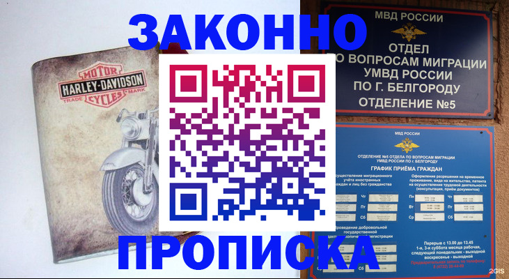 прописка для школы в Котовске